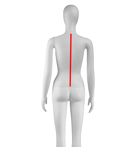 how to measure back length women