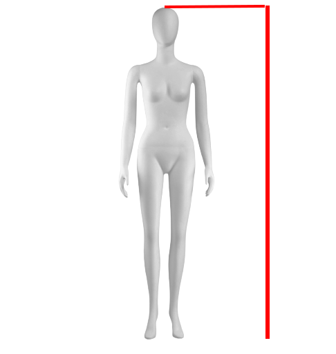 how to measure height female