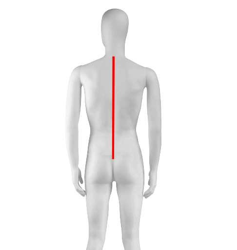 how to measure back length men